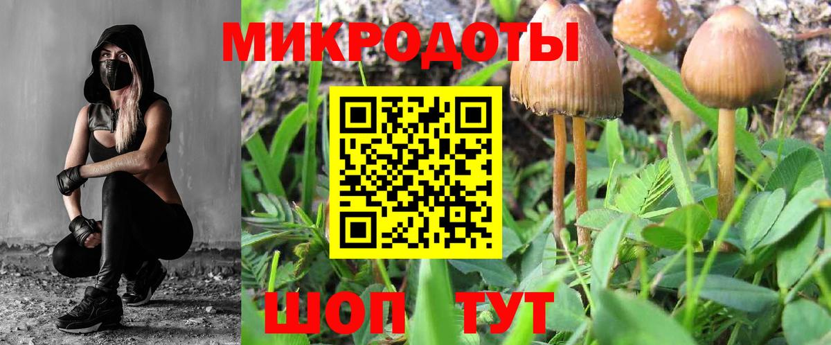 Галлюциногенные грибы ЛСД  где купить наркоту  Сертолово  Вход с VPN  Галлюциногенные грибы Psilocybine cubensis 
